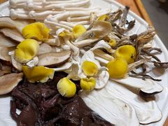 -大理董·董家小厨野生菌火锅(古城旗舰店)