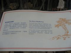 -天坛大佛