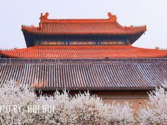 -雍和宫