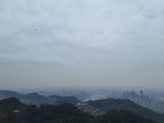 -大金鹰园