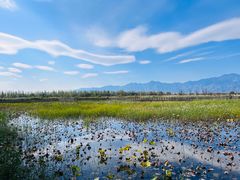 -野鸭湖国家湿地公园