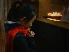 -斯蒂芬主教座堂(Stephansdom)