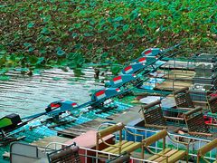 -星湖旅游景区七星岩