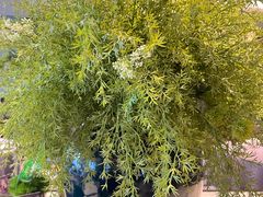 -徐记海鲜(大雁塔|金都店)
