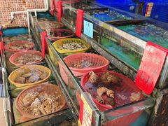 -鑫鸿达·海鲜闽菜热炒小馆(中山路店)