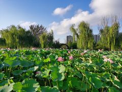 -太阳宫公园