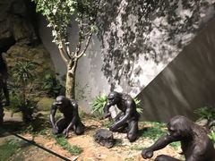 -北京周口店北京人遗址博物馆