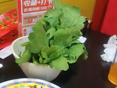 -芦月轩羊蝎子(北蜂窝店)