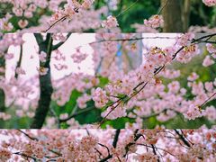 -静安雕塑公园