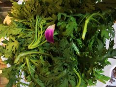 茼蒿-大妙火锅·非物质文化遗产(东湖公园店)