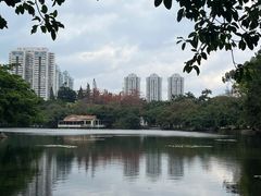 -荔枝公园(福田区)