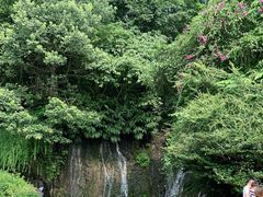 -峨眉山报国寺