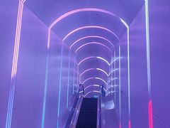-大连圣亚海洋世界