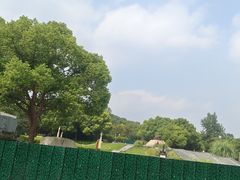 -上海吴淞炮台湾国家湿地公园