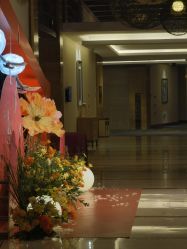 -苏州福朋喜来登酒店·宴会厅