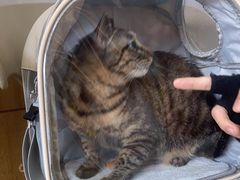 -瑞派宠物医院·中兽医专科(中央商城分院)