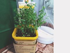 -L.C FLORA花予你(城西银泰城店)