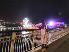 -布里斯班南岸公园