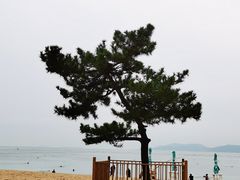 -青岛第一海水浴场