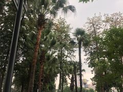 -四川大学(望江校区)