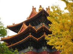 -故宫博物院(故宫)