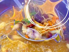 -千岛蚝高压锅生蚝·人参火锅(白云万达店)