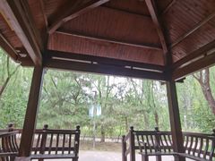 -大兴滨河森林公园