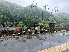 -岚山嵯峨野观光小火车