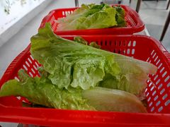 -源港渔村-中山脆肉鲩(博罗店)