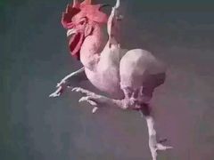 -隆门盛宴