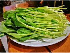 上汤鸡毛菜-顺承小院儿