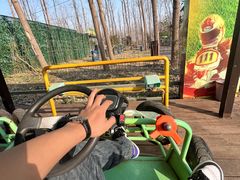 -合肥滨湖国家森林公园