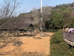 -无锡动物园·太湖欢乐园