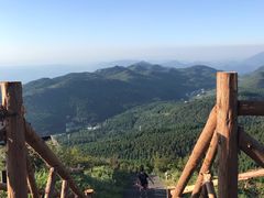 -武陵山森林公园