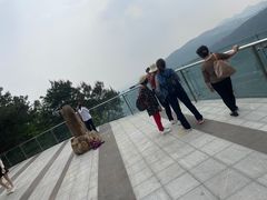 -铁山坪森林公园