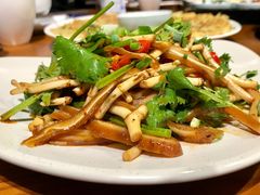 折耳根-酸喜·三度酸·贵州味