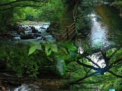 -广州市石门国家森林公园