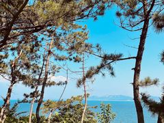-养马岛旅游度假区