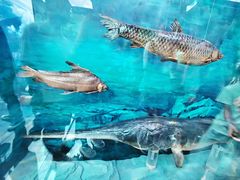 -重庆中国三峡博物馆(重庆博物馆)