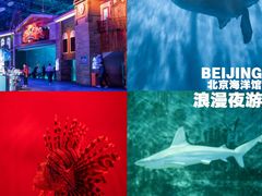 -北京海洋馆