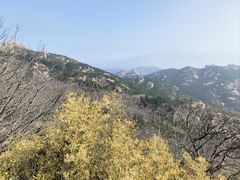 -崂山仰口游览区