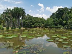 -中国科学院西双版纳热带植物园