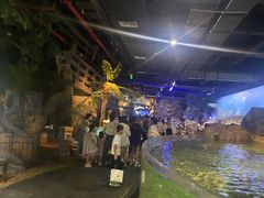-江和美海洋公园