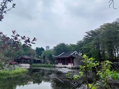 -顺峰山公园
