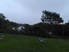 -艾溪湖湿地公园