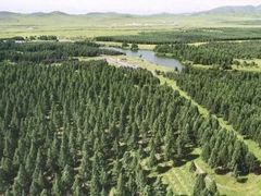 -塞罕坝国家级自然保护区