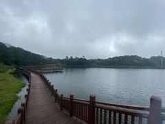 -海南热带雨林国家公园吊罗山景区