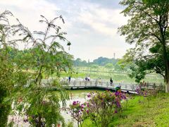 -东莞植物园