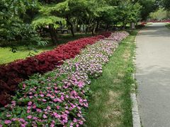 -石家庄市植物园