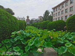 -四川大学(望江校区)